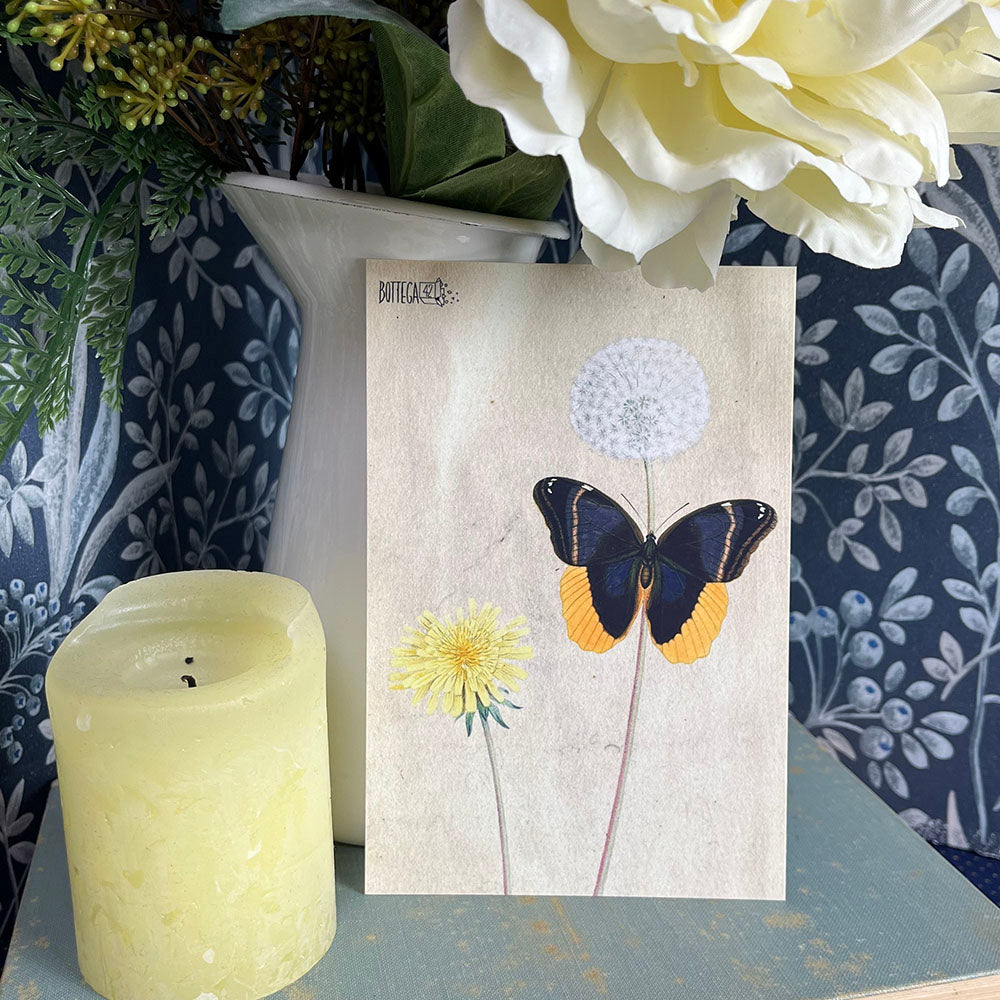 Herbarium Flower Postcard, Lily, Dandelion, Vintage Style