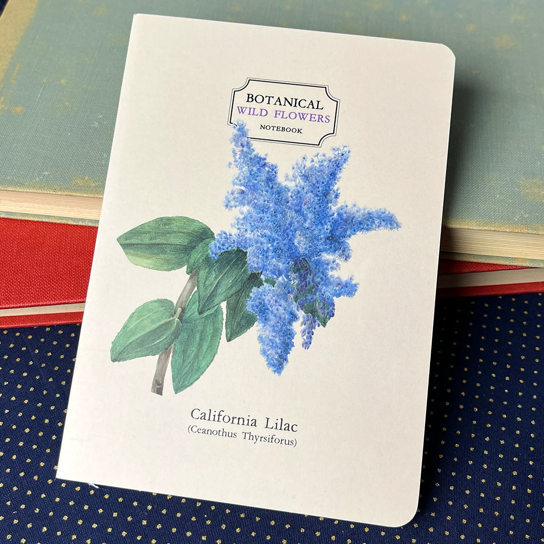 Pacchetto di 3 quadernini copertina botanica con fiori selvatici. Formato 10,5 x 14,8 kokonote