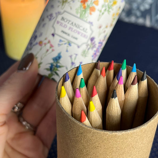 Set 18 pastelli colorati "Wild Flowers" in astuccio di cartone, fiori cottagecore
