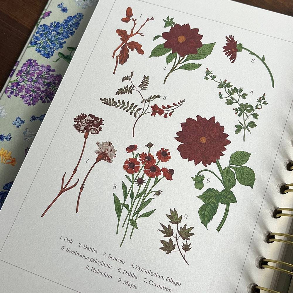 Agenda Seasonal Flowers 2024/2025 Weekly Planner 17 Mesi