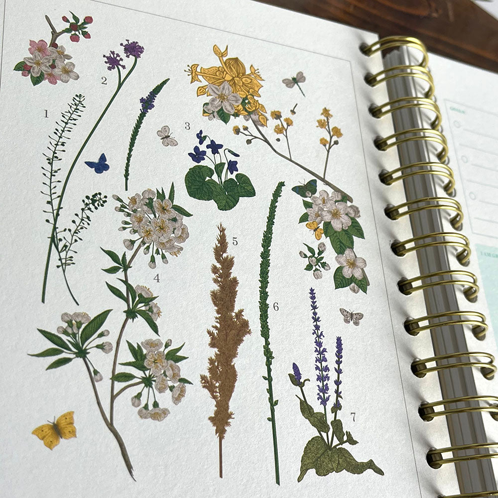 Agenda Seasonal Flowers 2024/2025 Weekly Planner 17 Mesi