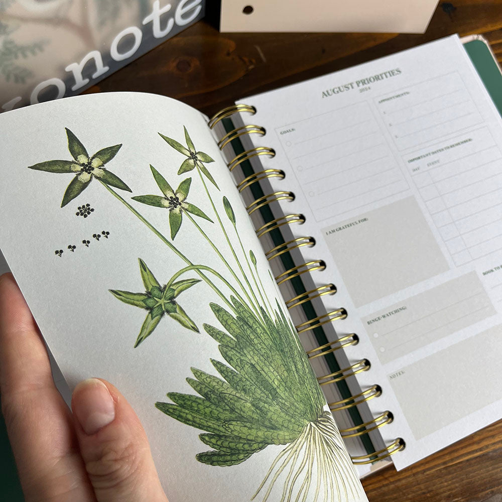 copertina mese Agenda Vintage Forest 2024/2025 Weekly Planner 17 Mesi