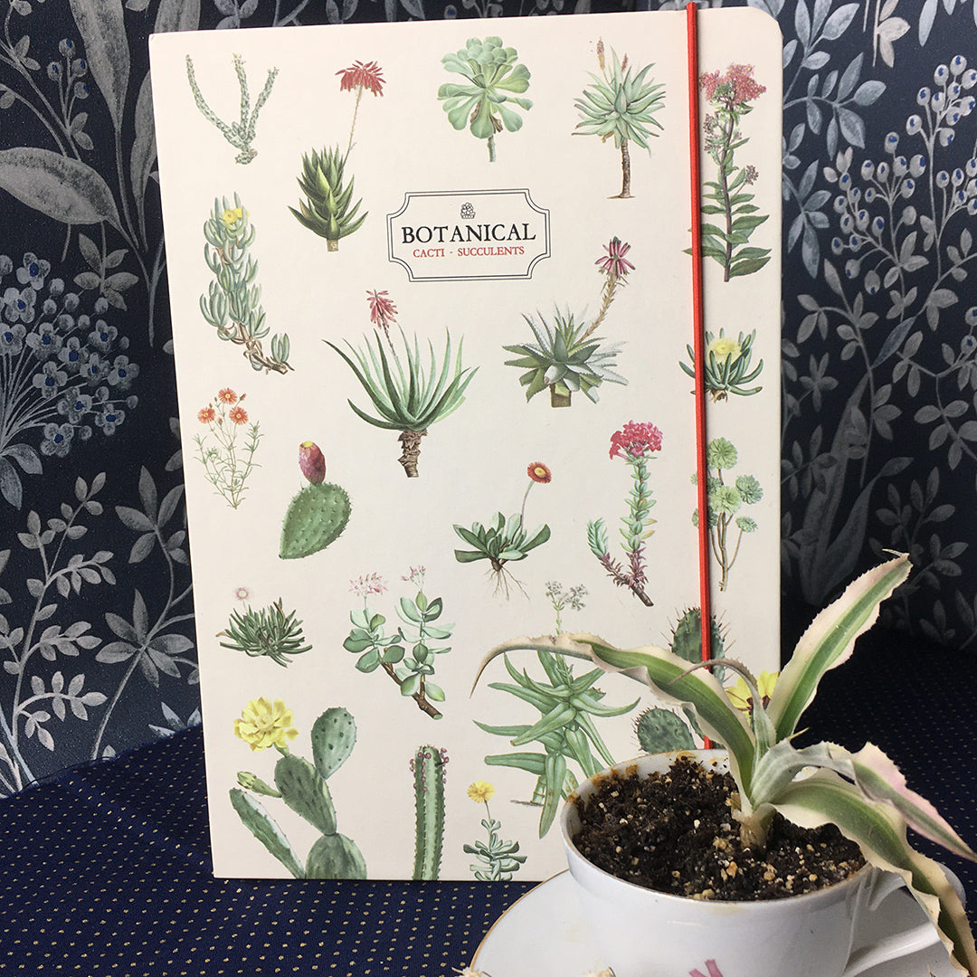 quaderno a5, rilegatura a vista, piante grasse, succulente, bullet journal